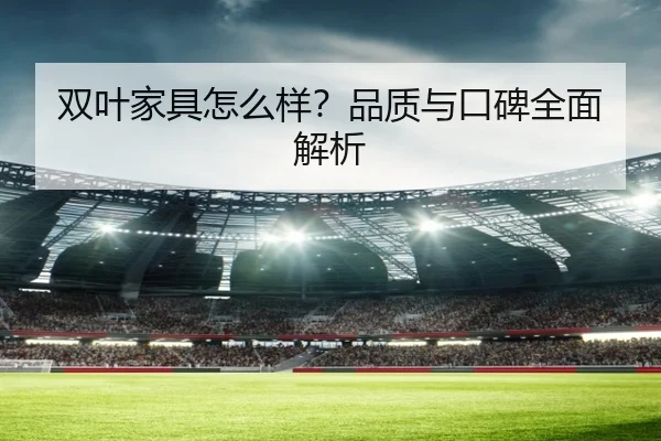 双叶家具怎么样？品质与口碑全面解析